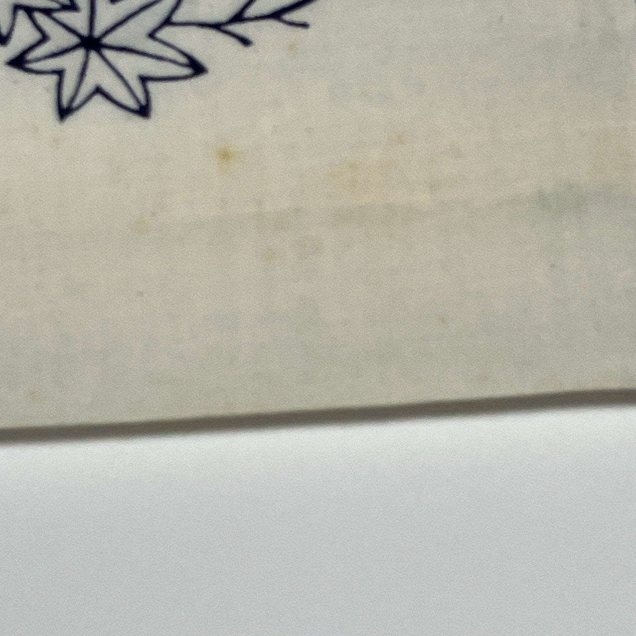 ［9513］浴衣 反物 綿 一反 着尺 楓 夏すがた